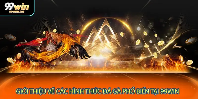 Giới thiệu về các hình thức đá gà phổ biến tại 99WIN