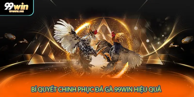 Bí quyết chinh phục đá gà 99WIN hiệu quả