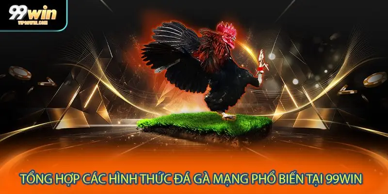 Tổng hợp các hình thức đá gà mạng phổ biến tại 99WIN