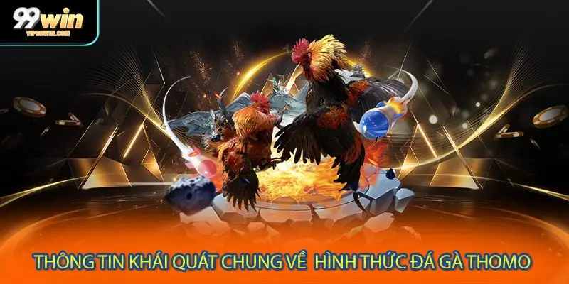Khái quát chung về đá gà Thomo đến thành viên