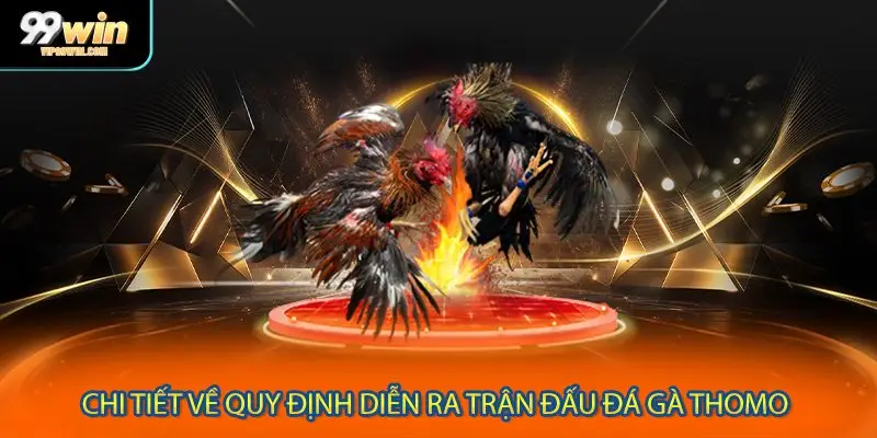 Chi tiết các quy định xuất hiện trong đá gà Thomo
