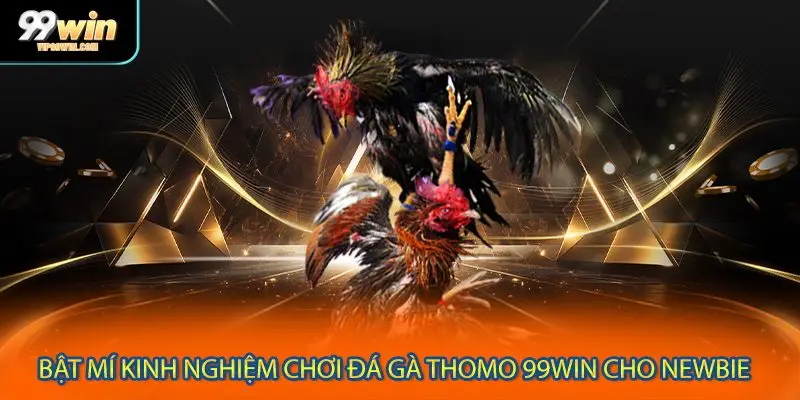 Kinh nghiệm đặt cược đá gà chiến thắng lớn mỗi ngày